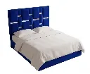Modelo2azul6.webp